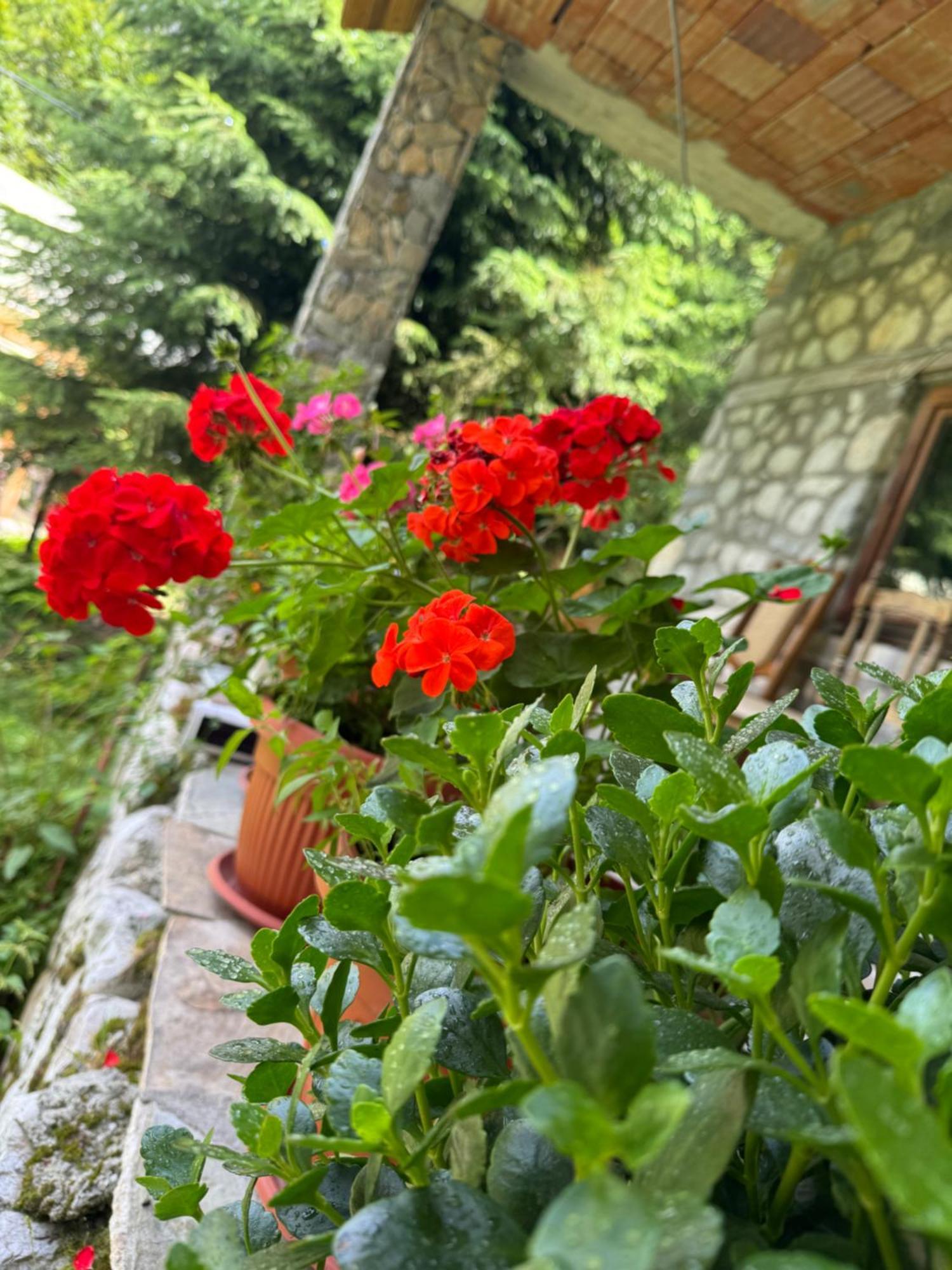 Guest House Hyrmet Demushi Valbone Exterior photo