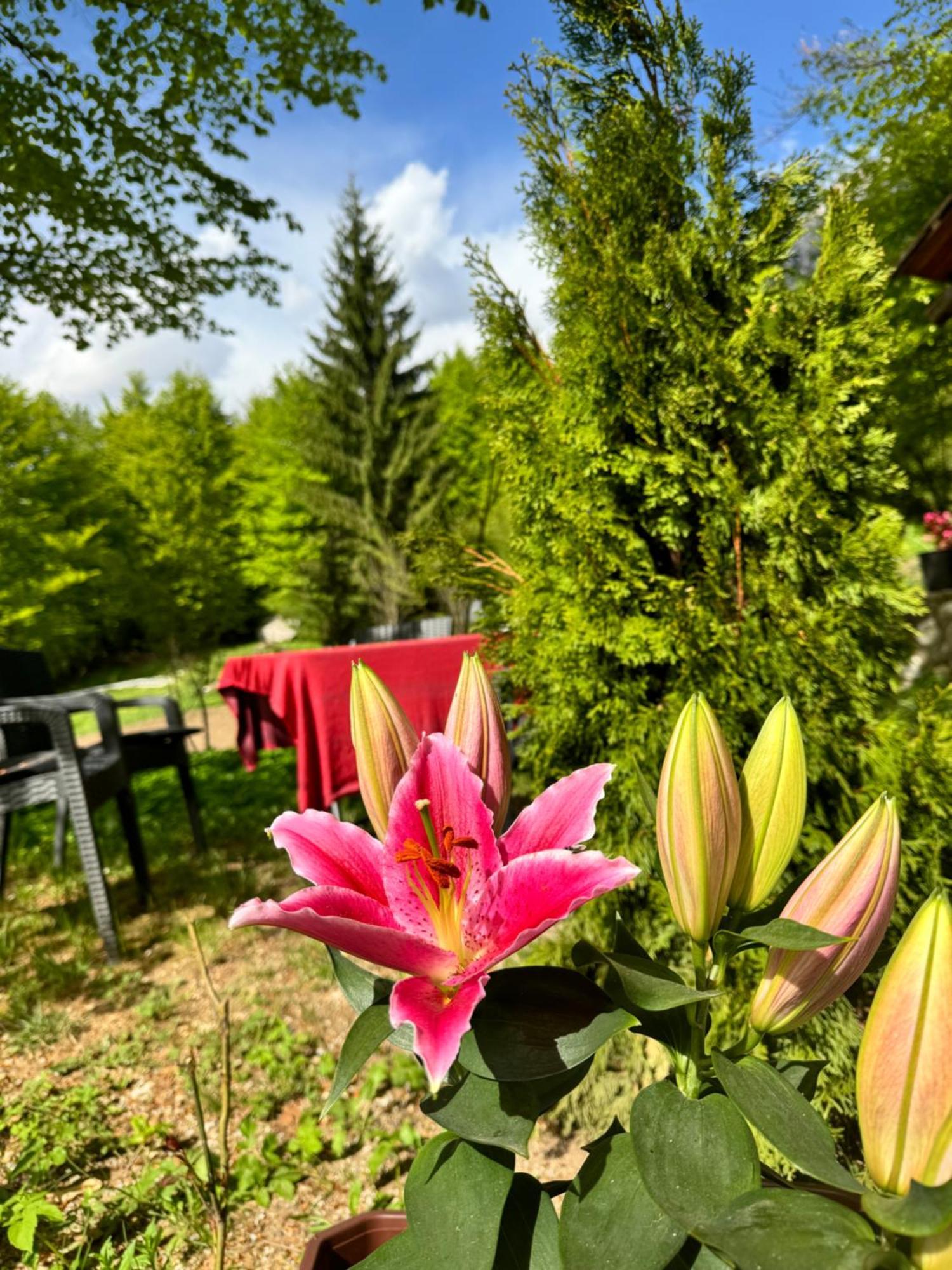 Guest House Hyrmet Demushi Valbone Exterior photo