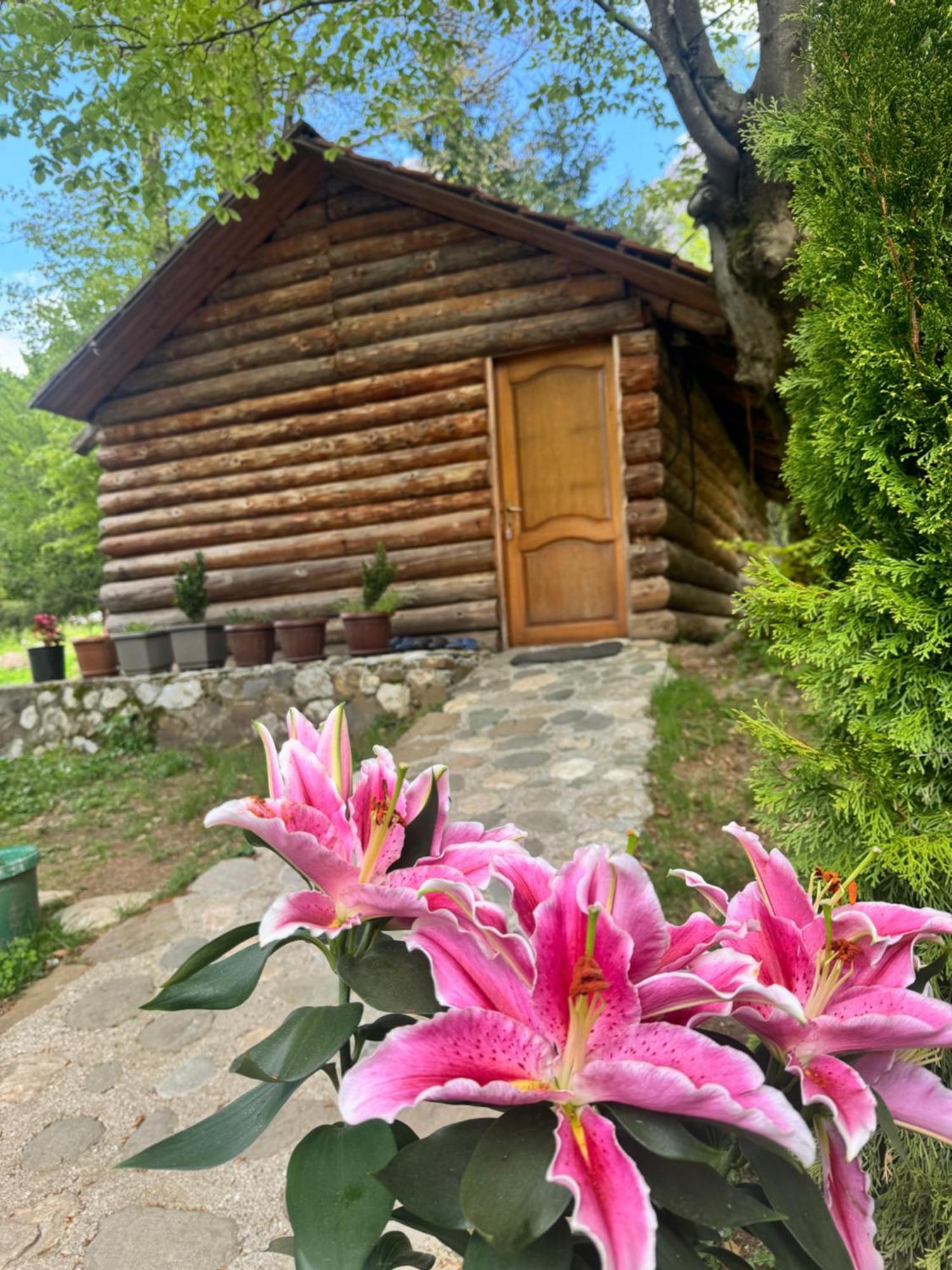 Guest House Hyrmet Demushi Valbone Exterior photo